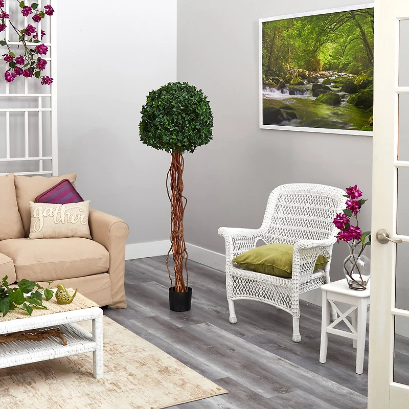 5.5ft. Potted English Ivy Ball Topiary Tree