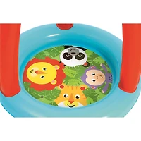 Fisher-Price™ Animal Friends Ball Pit