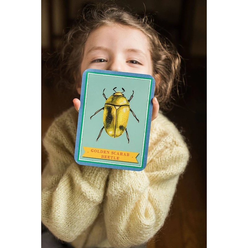 eeBoo Beautiful World Educational Flash Cards