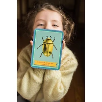 eeBoo Beautiful World Educational Flash Cards