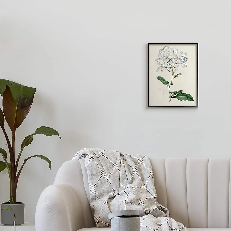 Stupell Industries Rustic Garden Floral Study Charming White Blossoms in Frame Wall Art