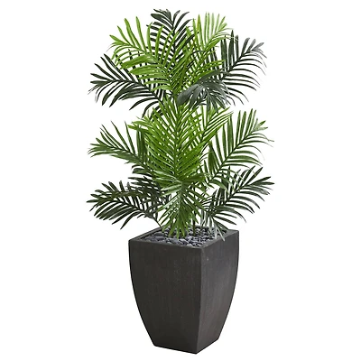 3.5ft. Artificial Paradise Palm Tree in Black Planter