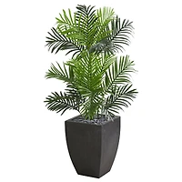 3.5ft. Artificial Paradise Palm Tree in Black Planter
