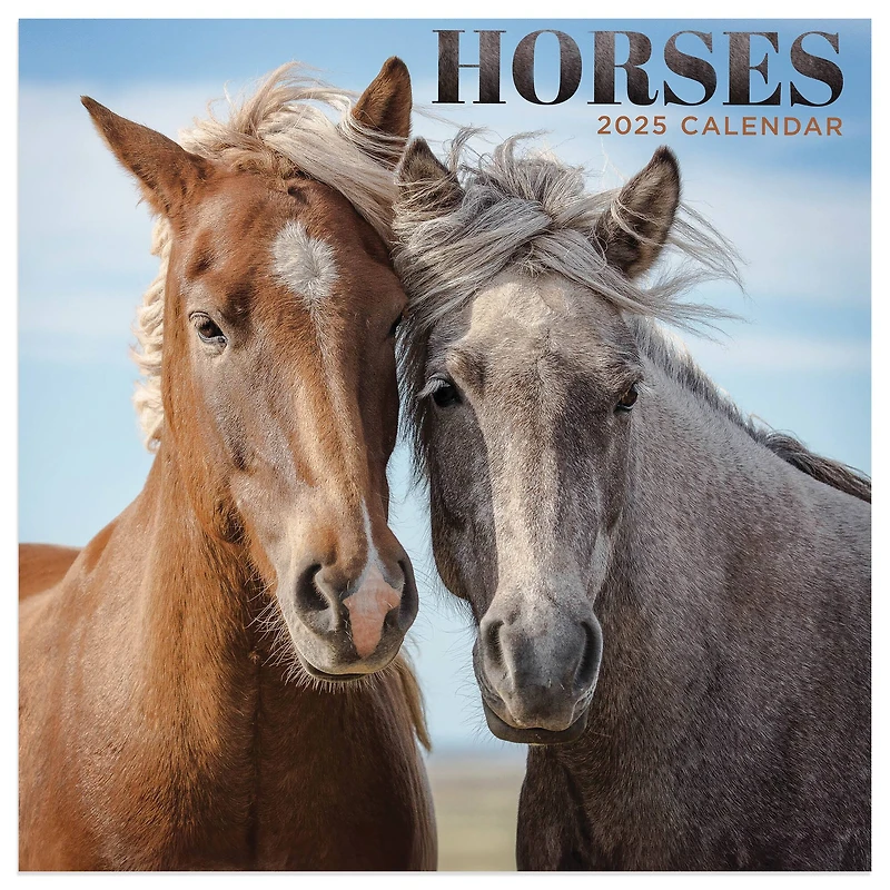 TF Publishing 2025 Horses Mini Calendar