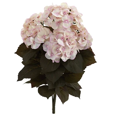 20" Pink Fall Hydrangea Bush, 2ct.
