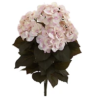 20" Pink Fall Hydrangea Bush, 2ct.