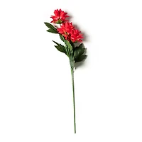 Red Hops Stem by Ashland®