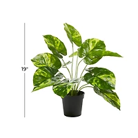 Green Plastic Traditional Artificial Foliage, 19" x 12" x 12"