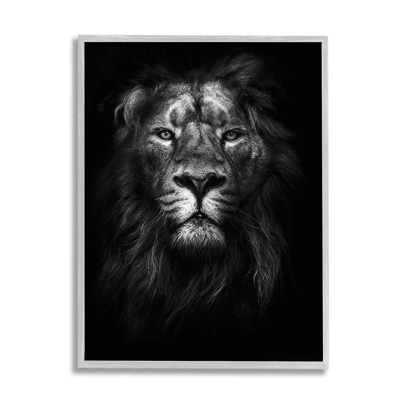 Stupell Industries King of the Jungle Lion in Shadows Wall Accent with Gray Frame