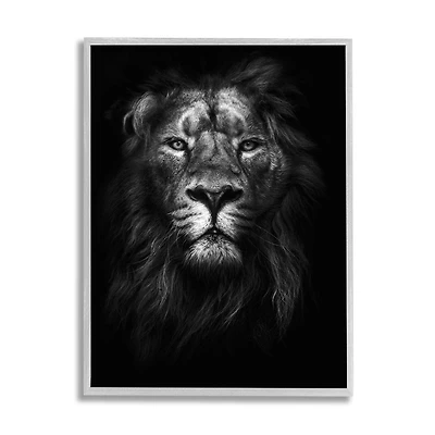 Stupell Industries King of the Jungle Lion in Shadows Wall Accent with Gray Frame