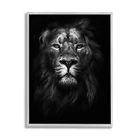 Stupell Industries King of the Jungle Lion in Shadows Wall Accent with Gray Frame