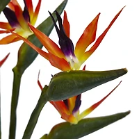 Bird of Paradise in Vase