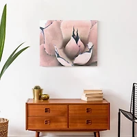 Succulent 20" x 16" Canvas Wall Art