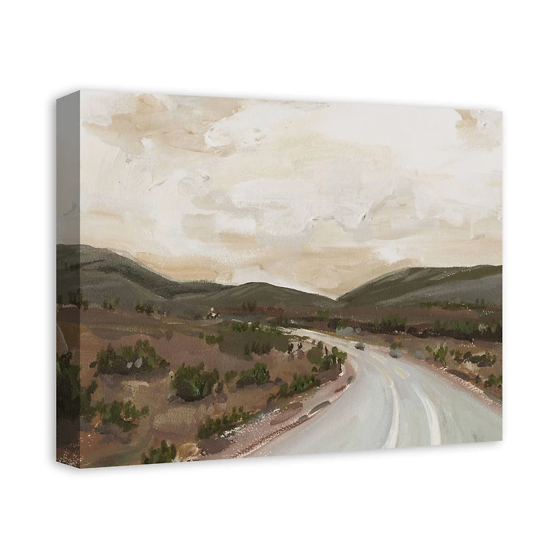 Mountain Roads 20" x 16" Canvas Wall Art