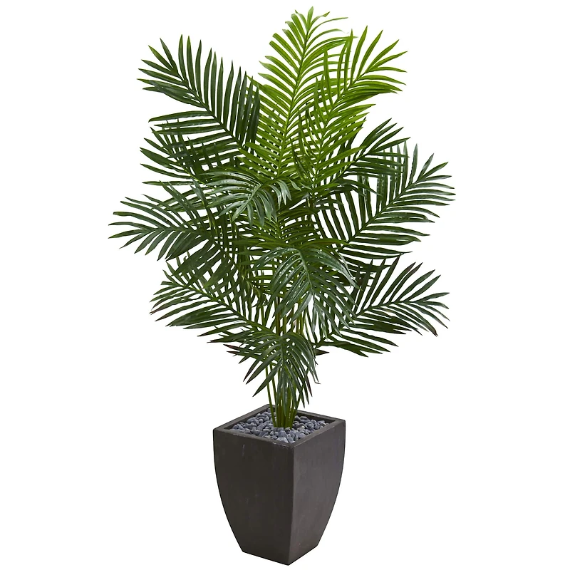 5.5ft. Paradise Artificial Palm Tree in Black Planter