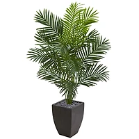 5.5ft. Paradise Artificial Palm Tree in Black Planter