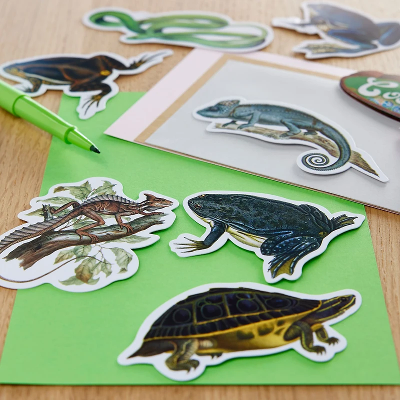 Reptiles Die Cut Stickers by Recollections™
