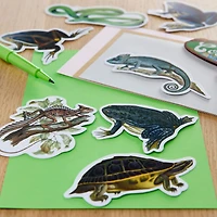 Reptiles Die Cut Stickers by Recollections™