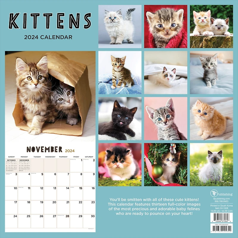TF Publishing Kittens Wall Calendar