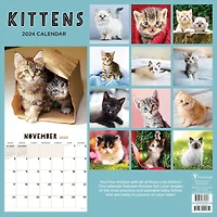 TF Publishing Kittens Wall Calendar