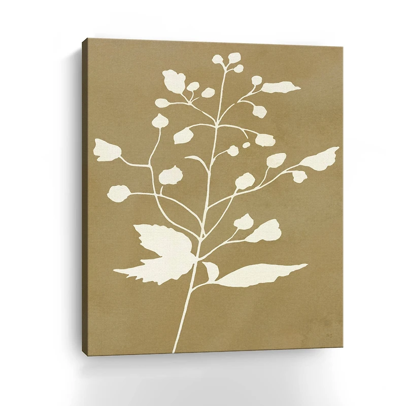 Honey Botanical II Canvas Giclee