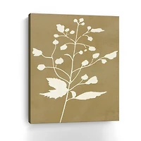Honey Botanical II Canvas Giclee