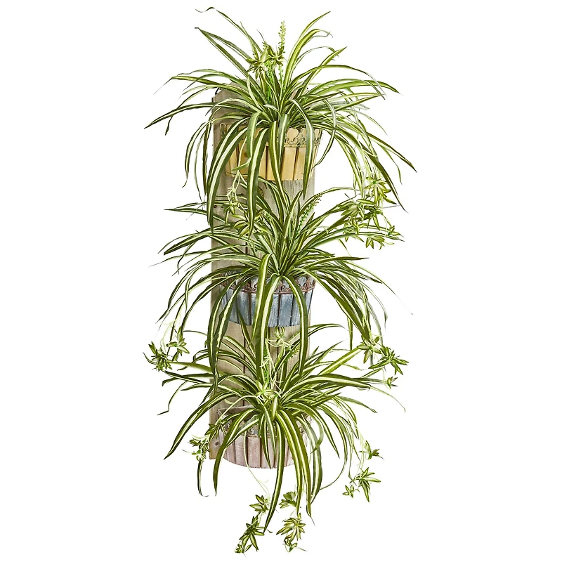 3.5ft. Spider Plant in Three-Tiered Wall Planter