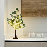 2ft. Pre-Lit Artificial Eucalyptus Tree with Warm White LED Lights