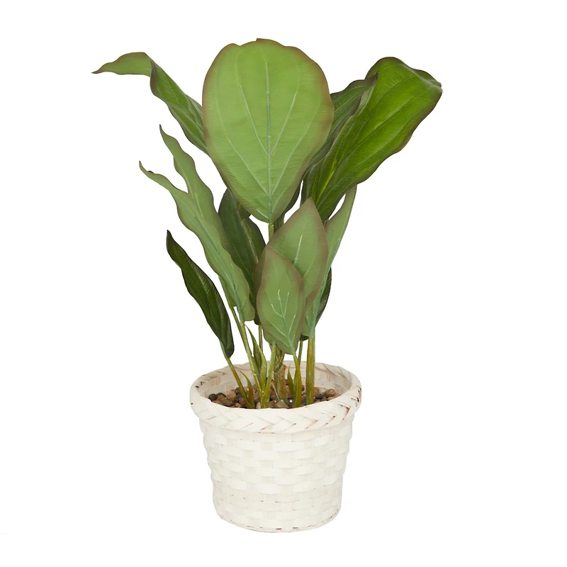 2ft. Coastal Style Artificial Foliage in White Bamboo Pot