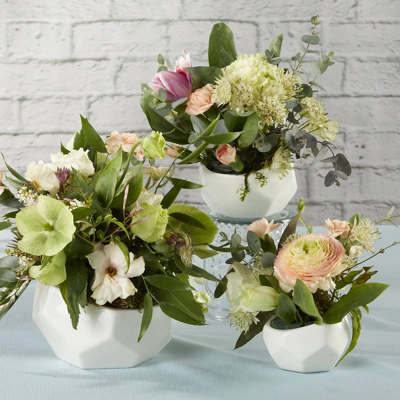 Kate Aspen Geometric Ceramic Planter Set