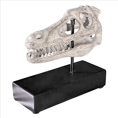 Design Toscano 10.5" Velociraptor Dinosaur Skull Fossil Replica Statue