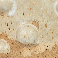 Hello Honey® 8" White Stoneware Vase with Raised Dots & Reactive Glaze