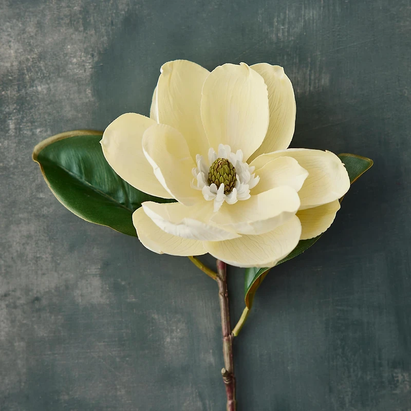 White Magnolia Stem by Ashland®