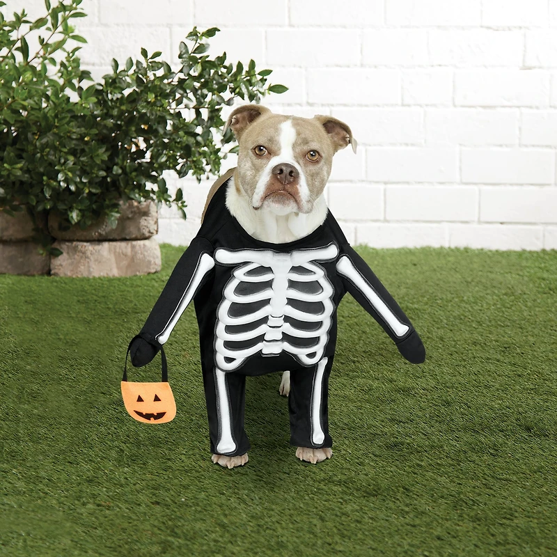 Skeleton Dog Costume by Ashland®