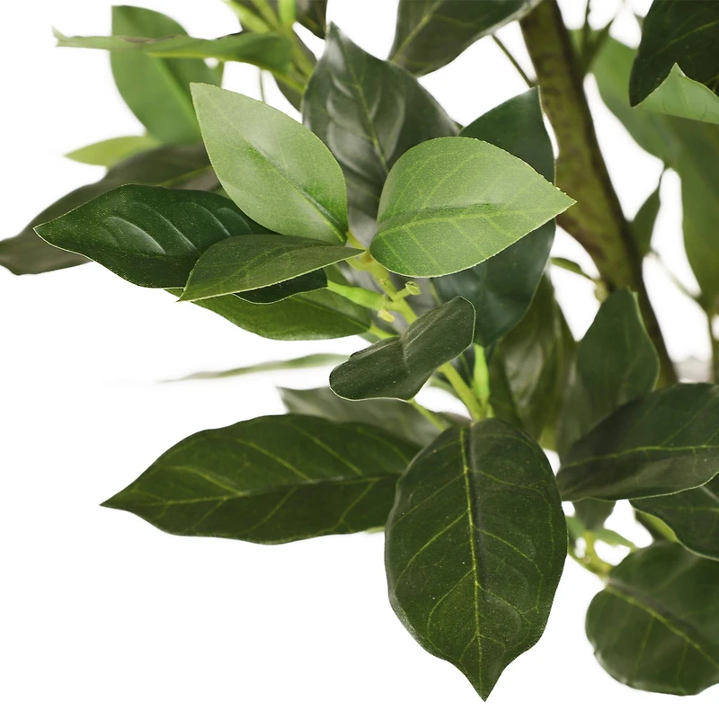 6ft. Artificial Lemon Tree in White Decorative Pot