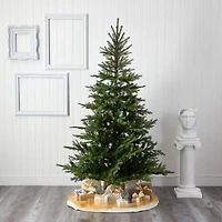 7ft. Unlit North Carolina Spruce Artificial Christmas Tree
