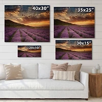 Designart - Sunrise & Dramatic Clouds Over Lavender Field X