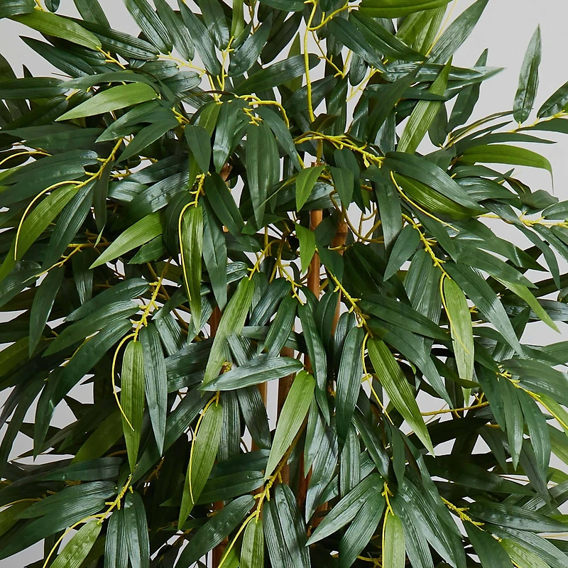 5.5ft. Bamboo Tree with Brown Planter