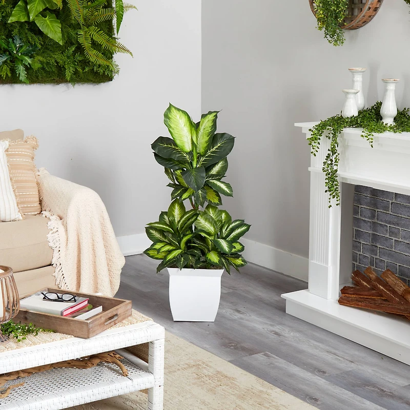 4ft. Golden Dumb Cane Plant in White Metal Planter