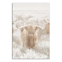 Light and Creamy Highland Canvas Wall Art