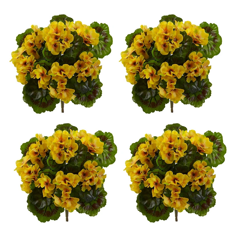 Yellow Geranium Bush, 4ct.