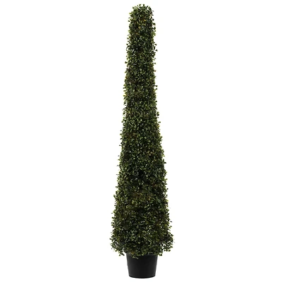 4ft. Potted Boxwood Cone