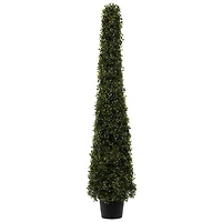 4ft. Potted Boxwood Cone