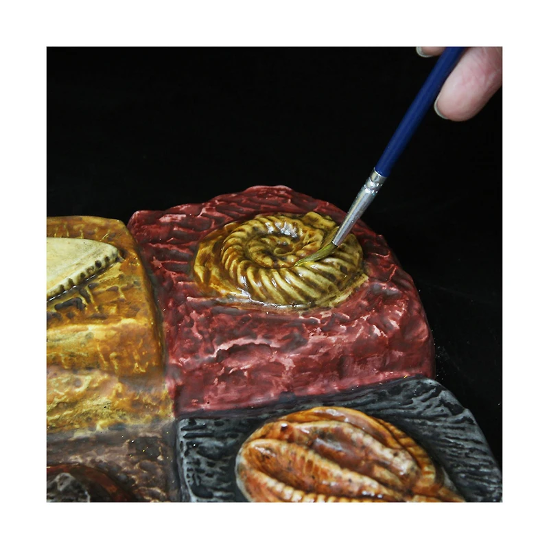 Wild Environmental Science - Wonders of the Earth