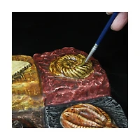 Wild Environmental Science - Wonders of the Earth