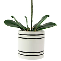 24" Real Touch™ Pink Orchid in a Striped Ceramic Pot