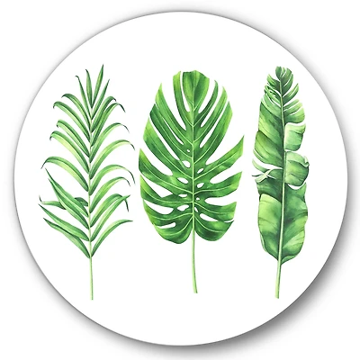 Designart - Tropical Leaf Of Monstera IV - Farmhouse Metal Circle Wall Art