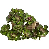 Green Echeveria Succulent Pick, 12ct.