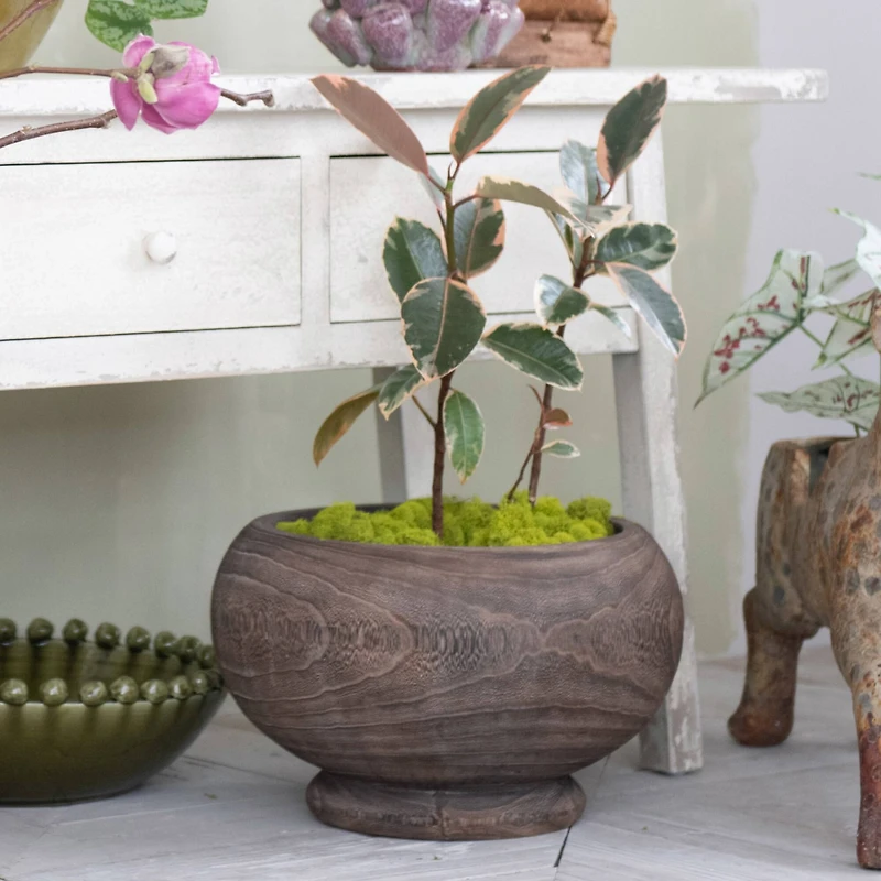 Hello Honey® Stained Round Paulownia Wood Planter