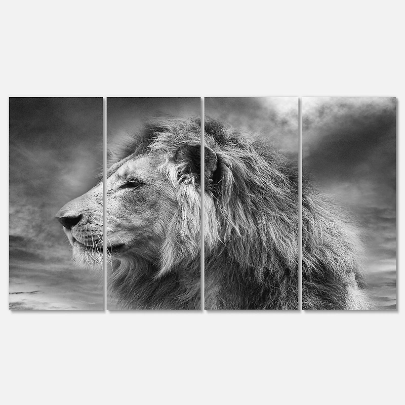 Designart - Grey Wild African Lion